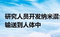 研究人员开发纳米混合载体以最佳方式将药物输送到人体中