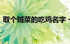 取个贼菜的吃鸡名字 一看就很菜的吃鸡名字