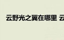 云野光之翼在哪里 云野光之翼位置在哪里