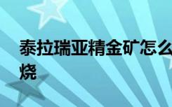 泰拉瑞亚精金矿怎么烧 泰拉瑞亚精金矿如何烧