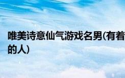 唯美诗意仙气游戏名男(有着意味深长和令人愉快的游戏名字的人)