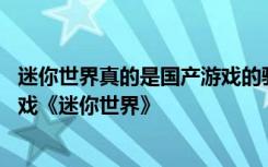 迷你世界真的是国产游戏的骄傲吗 迷你世界如何看待国产游戏《迷你世界》