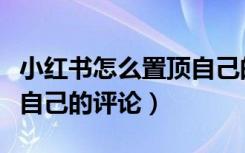 小红书怎么置顶自己的笔记（小红书怎么置顶自己的评论）