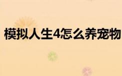 模拟人生4怎么养宠物 模拟人生4如何养宠物