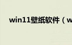 win11壁纸软件（win11怎么设置壁纸）