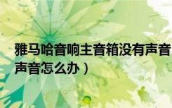 雅马哈音响主音箱没有声音（雅马哈R-N402桌面音箱没有声音怎么办）