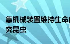 靠机械装置维持生命的甲虫研究可以自由地研究昆虫