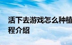 活下去游戏怎么种植 活下去游戏种子种植流程介绍