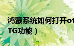 鸿蒙系统如何打开otg（鸿蒙系统如何打开OTG功能）