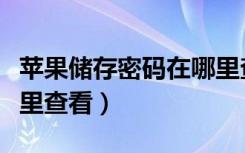 苹果储存密码在哪里查看（苹果储存密码在哪里查看）