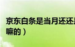 京东白条是当月还还是次月还（京东白条是干嘛的）