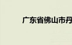 广东省佛山市丹灶镇小学怎么样