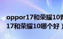 oppor17和荣耀10青春版屏幕对比（oppor17和荣耀10哪个好）