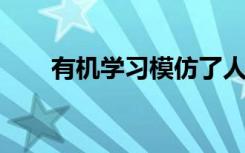 有机学习模仿了人类思想的某些方面