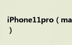 iPhone11pro（max怎么更改桌面图标大小）