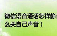 微信语音通话怎样静音自己的麦（微信连麦怎么关自己声音）