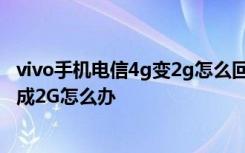 vivo手机电信4g变2g怎么回事 电信手机左上角的4G突然变成2G怎么办