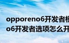 opporeno6开发者模式怎么开启（opporeno6开发者选项怎么开启）