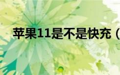 苹果11是不是快充（苹果11是不是快充）