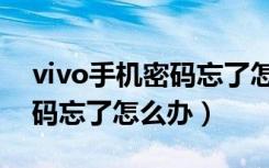 vivo手机密码忘了怎么办解开（vivo手机密码忘了怎么办）