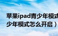 苹果ipad青少年模式怎么横屏（苹果ipad青少年模式怎么开启）