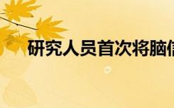 研究人员首次将脑信号直接转换为语音