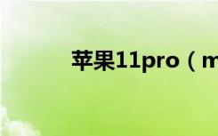 苹果11pro（max广角怎么用）