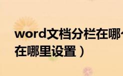 word文档分栏在哪个视图（word文档分栏在哪里设置）