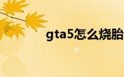 gta5怎么烧胎 gta5如何烧胎