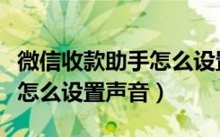 微信收款助手怎么设置普通话（微信收款助手怎么设置声音）