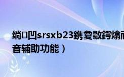 绱㈠凹srsxb23鎸夐敭鍔熻兘（索尼SRS-XB20如何使用语音辅助功能）