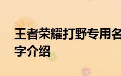 王者荣耀打野专用名字 王者荣耀打野专用名字介绍