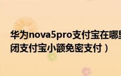 华为nova5pro支付宝在哪里设置加密（华为nova5怎么关闭支付宝小额免密支付）