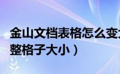 金山文档表格怎么变大（金山文档表格怎么调整格子大小）