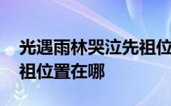 光遇雨林哭泣先祖位置最新 光遇雨林哭泣先祖位置在哪