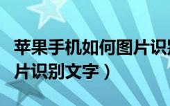 苹果手机如何图片识别文字（苹果手机怎么图片识别文字）