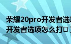 荣耀20pro开发者选项怎么设置（荣耀20pro开发者选项怎么打�）