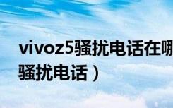 vivoz5骚扰电话在哪设置（vivoz5怎么拦截骚扰电话）