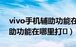 vivo手机辅助功能在设置哪里（vivo手机辅助功能在哪里打�）