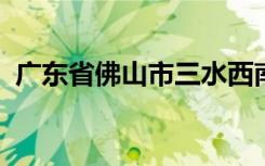 广东省佛山市三水西南街道第四小学怎么样