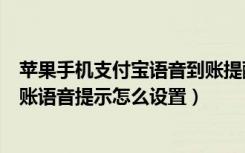 苹果手机支付宝语音到账提醒怎么设置（苹果手机支付宝到账语音提示怎么设置）