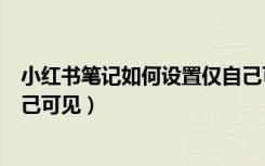 小红书笔记如何设置仅自己可见（小红书笔记怎么设置仅自己可见）