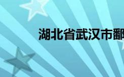 湖北省武汉市鄱阳街小学怎么样