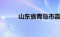 山东省青岛市嘉峪关小学怎么样