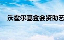 沃霍尔基金会资助艺术与科学研究所项目