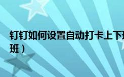 钉钉如何设置自动打卡上下班（钉钉如何设置自动打卡上下班）