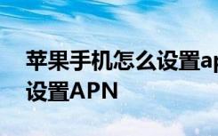 苹果手机怎么设置apn接入点 苹果手机怎么设置APN