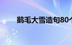 鹅毛大雪造句80个字 鹅毛大雪造句