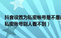 抖音设置为私密帐号是不是所有人都看不到（抖音怎么设置私密账号别人看不到）