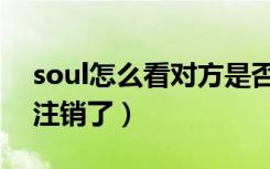 soul怎么看对方是否注销（soul怎么看对方注销了）